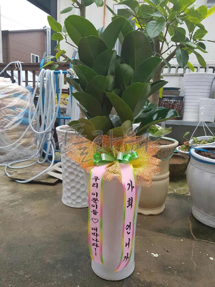 []ȫOO Բ ֹϽ ۻ Դϴ 