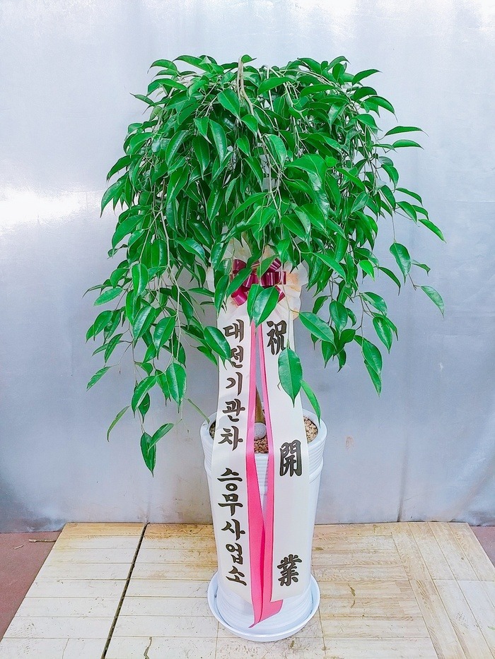 [ڹ]  OO Բ ֹϽ ۻ Դϴ