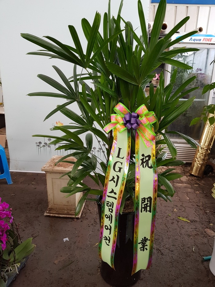 []  OO Բ ֹϽ ۻ Դϴ