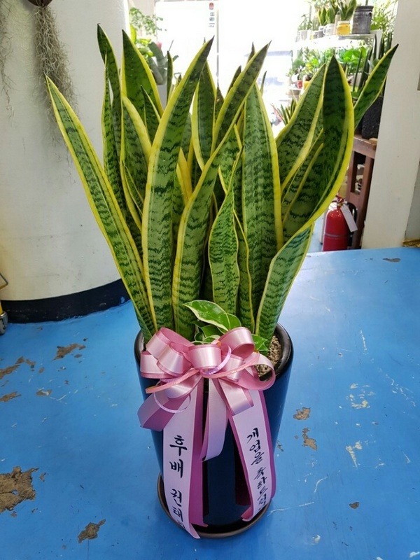 [꼼] OO Բ ֹϽ ۻ Դϴ