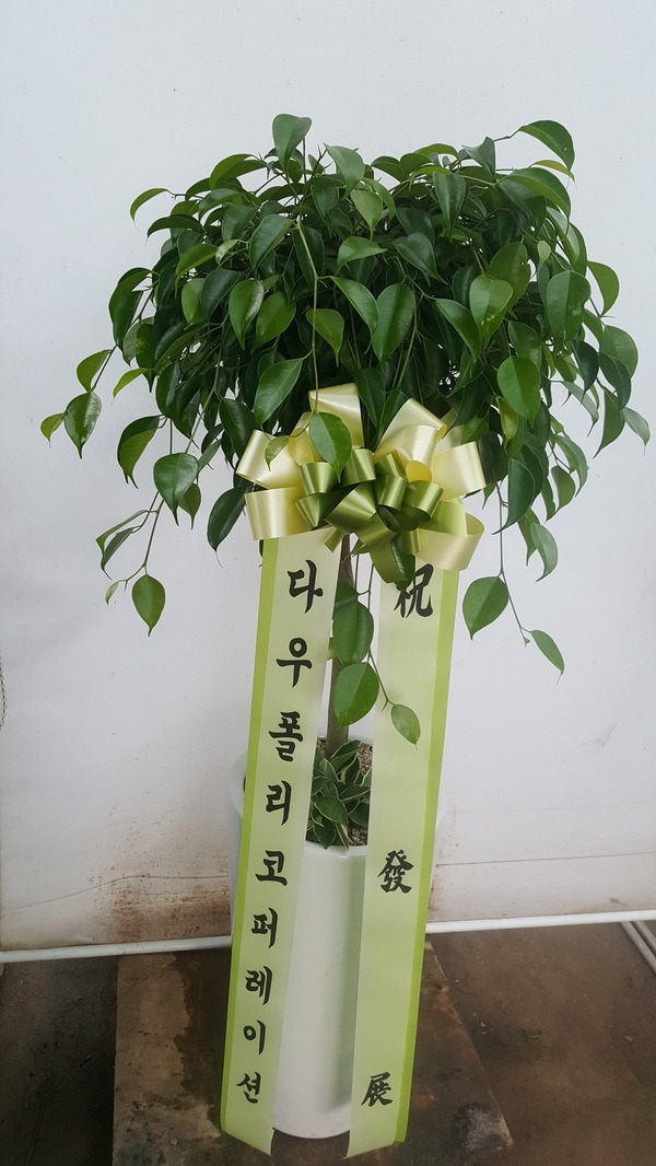 [ڹ]