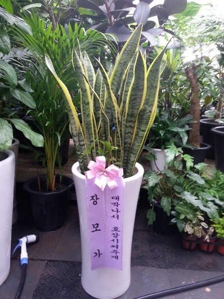 [꼼]
