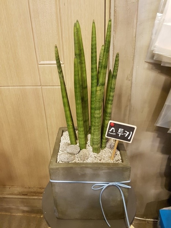 [Ű]