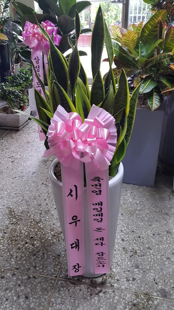 [꼼]