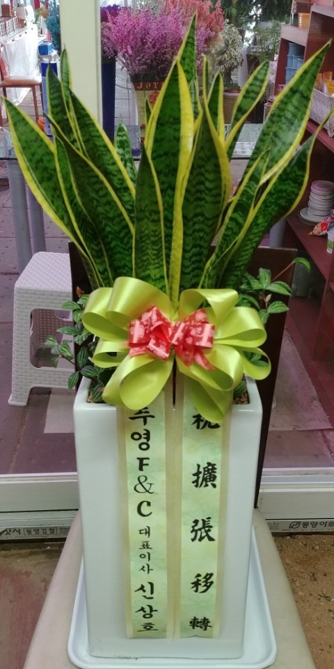 [꼼]