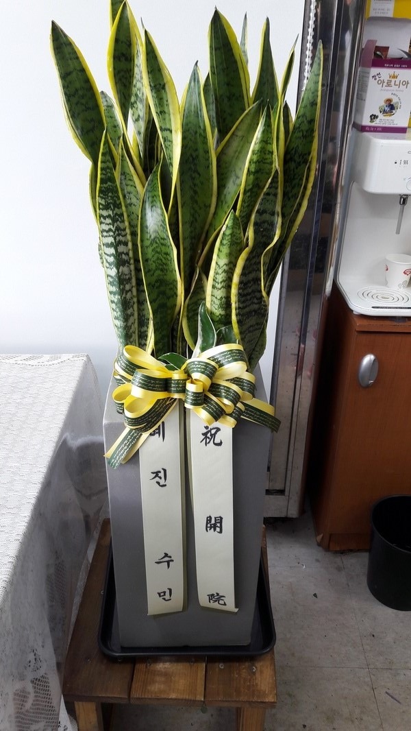 [꼼]