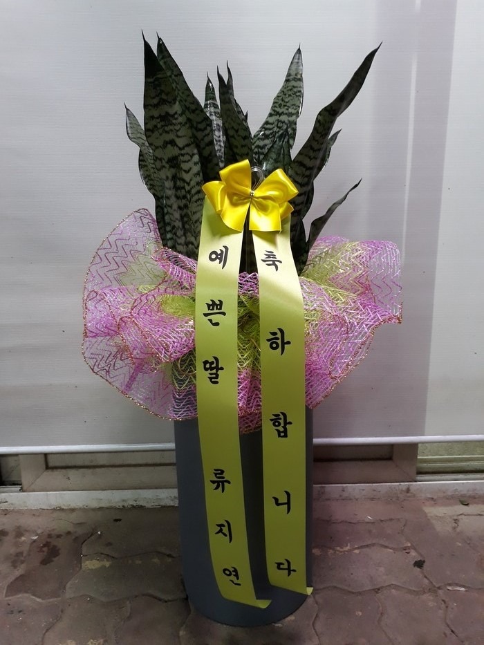 꼼