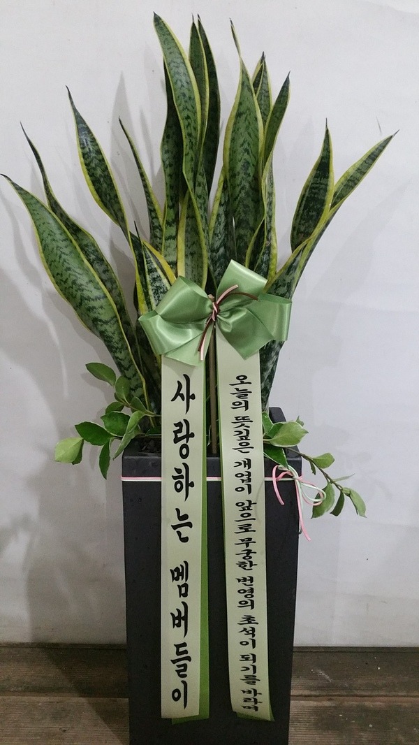 꼼