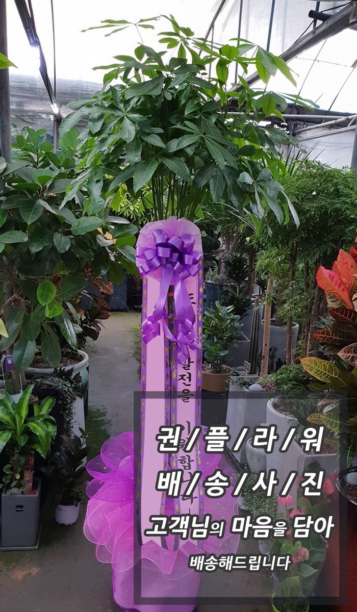 Ű